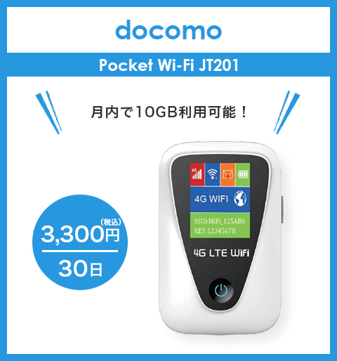 【来店専用】最大30日10GBタイプ