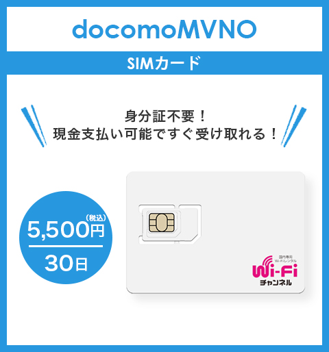 プリペイドタイプ